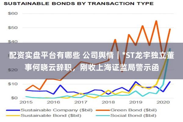 配资实盘平台有哪些 公司舆情｜*ST龙宇独立董事何晓云辞职，刚收上海证监局警示函