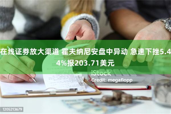 在线证劵放大渠道 霍夫纳尼安盘中异动 急速下挫5.44%报203.71美元