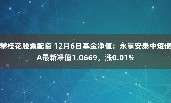 攀枝花股票配资 12月6日基金净值：永赢安泰中短债A最新净值1.0669，涨0.01%