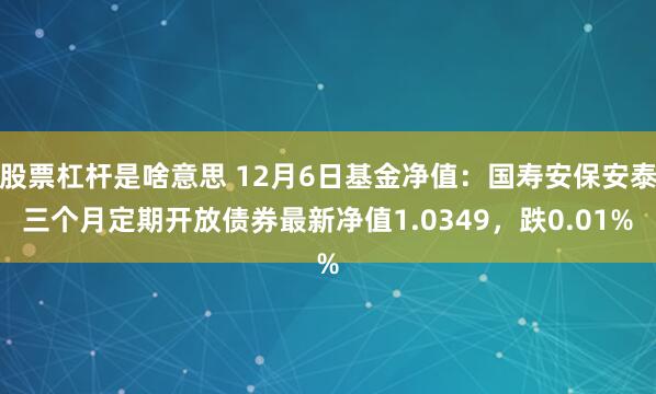 股票杠杆是啥意思 12月6日基金净值：国寿安保安泰三个月定期开放债券最新净值1.0349，跌0.01%