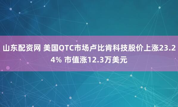 山东配资网 美国OTC市场卢比肯科技股价上涨23.24% 市值涨12.3万美元