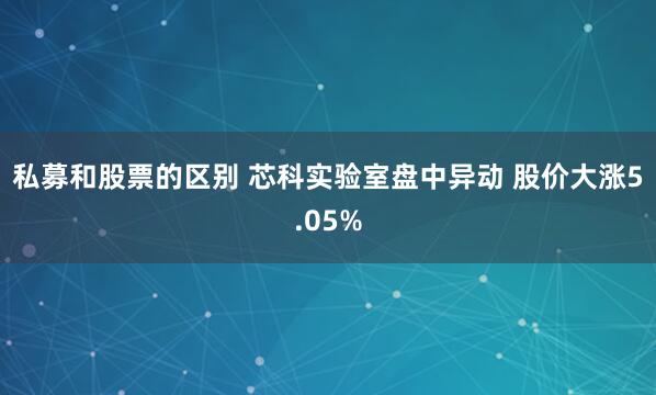 私募和股票的区别 芯科实验室盘中异动 股价大涨5.05%