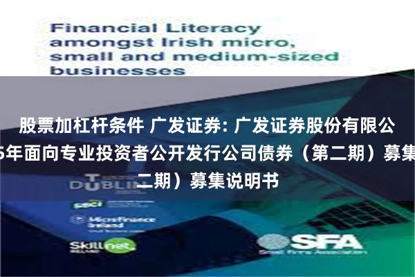 股票加杠杆条件 广发证券: 广发证券股份有限公司2025年面向专业投资者公开发行公司债券（第二期）募集说明书