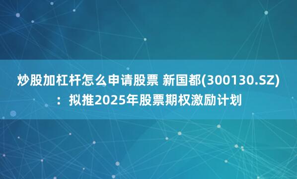 炒股加杠杆怎么申请股票 新国都(300130.SZ)：拟推2025年股票期权激励计划
