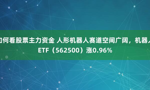 如何看股票主力资金 人形机器人赛道空间广阔,机器人ETF(562500)涨0.96%