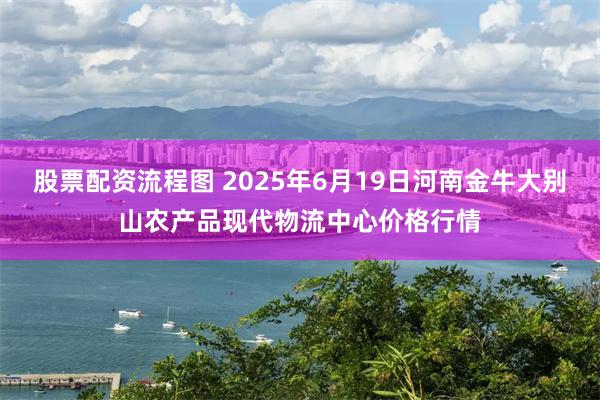 股票配资流程图 2025年6月19日河南金牛大别山农产品现代物流中心价格行情