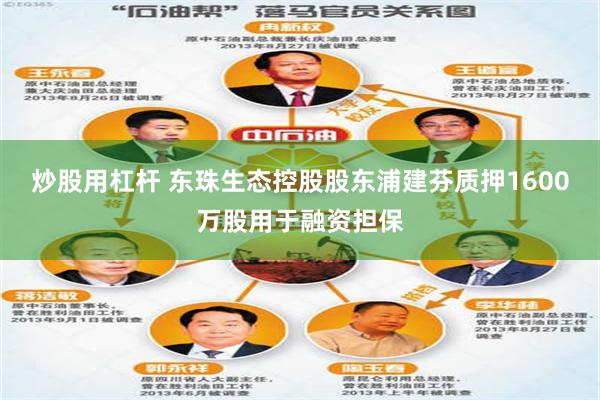 炒股用杠杆 东珠生态控股股东浦建芬质押1600万股用于融资担保