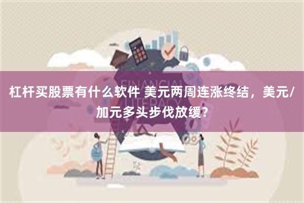 杠杆买股票有什么软件 美元两周连涨终结，美元/加元多头步伐放缓？